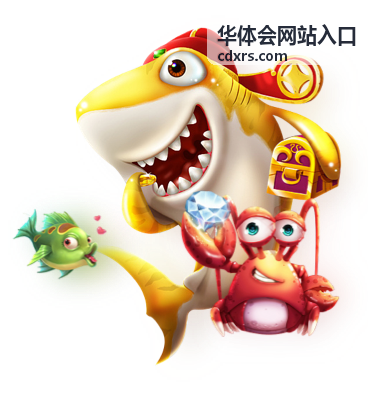 华体会网站入口安全排查流程图背景图