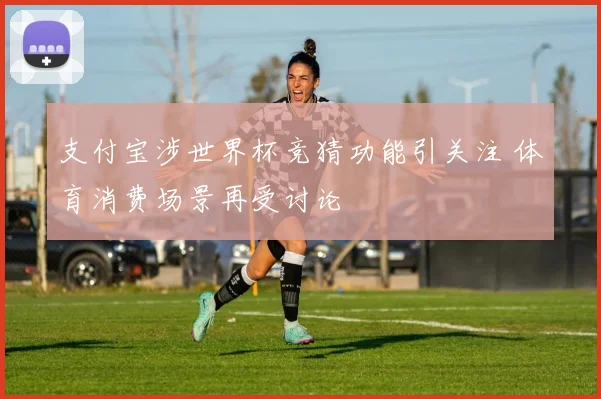 支付宝涉世界杯竞猜功能引关注 体育消费场景再受讨论