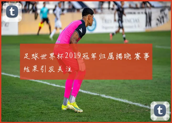 足球世界杯2019冠军归属揭晓 赛事结果引发关注