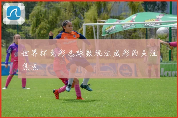 世界杯竞彩总球数玩法成彩民关注焦点