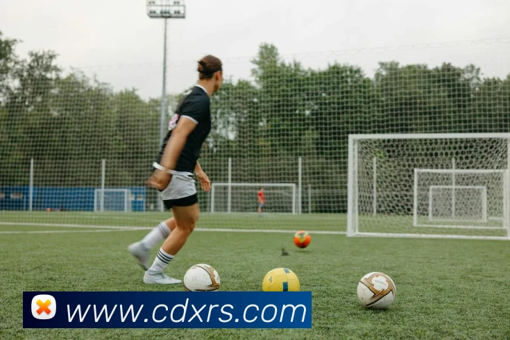 世界杯官网线上平台平台生态图